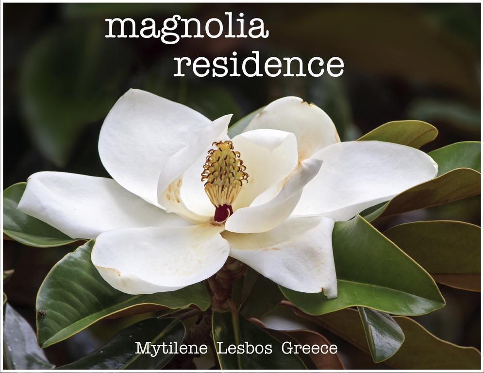 Magnolia Residence Mytilíni Exteriér fotografie